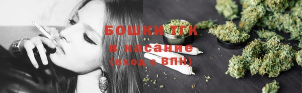 хмурый Верея