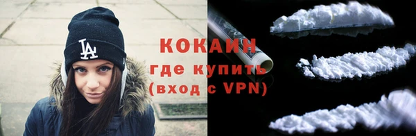 хмурый Верея