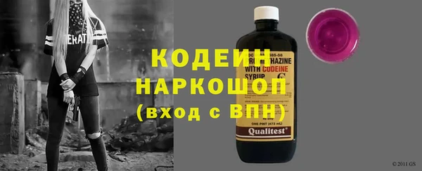хмурый Верея