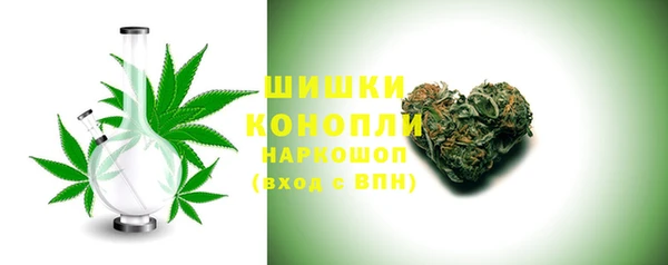 хмурый Верея