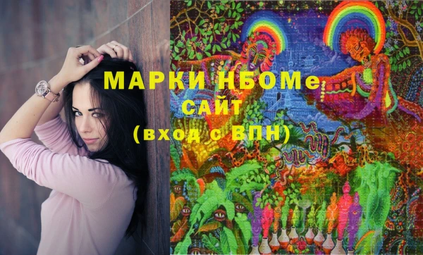 хмурый Верея