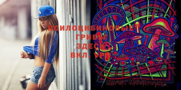 хмурый Верея