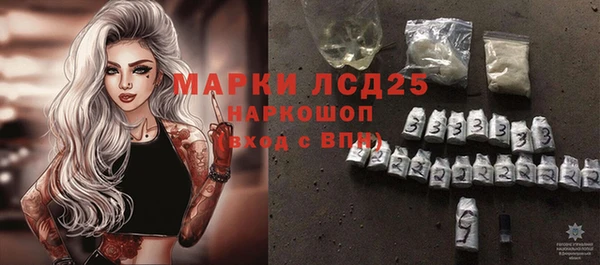 хмурый Верея