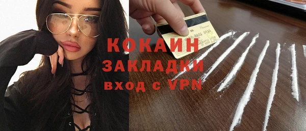 хмурый Верея