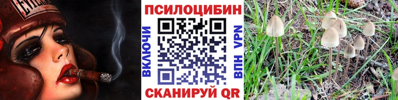 Псилоцибиновые грибы мицелий  Казань 